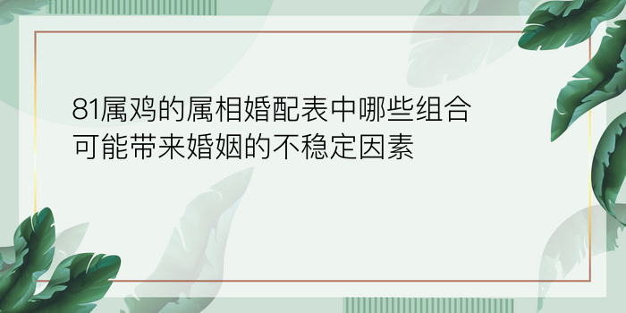 81属鸡的属相婚配表中哪些组合可能带来婚姻的不稳定因素