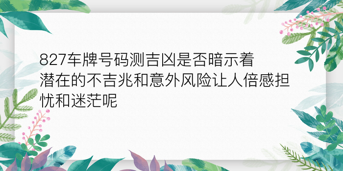 预测车牌号码吉凶游戏截图