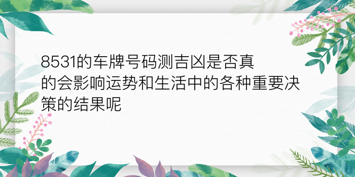 二零二算运网