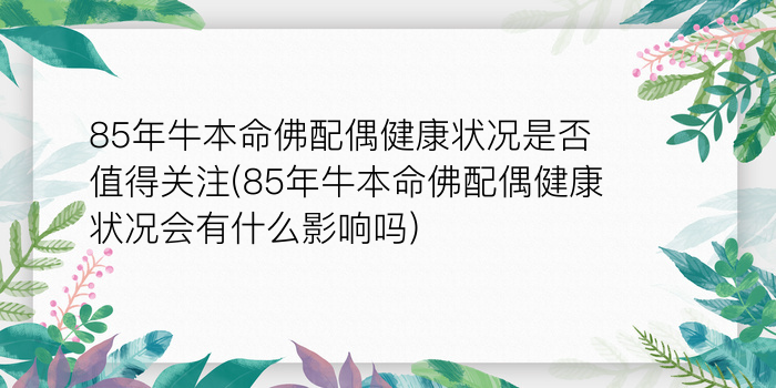 二零二算运网