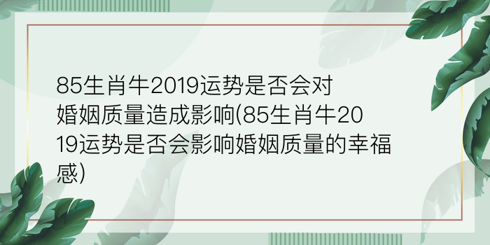 二零二算运网