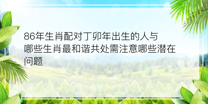 86年生肖配对丁卯年出生的人与哪些生肖最和谐共处需注意哪些潜在问题