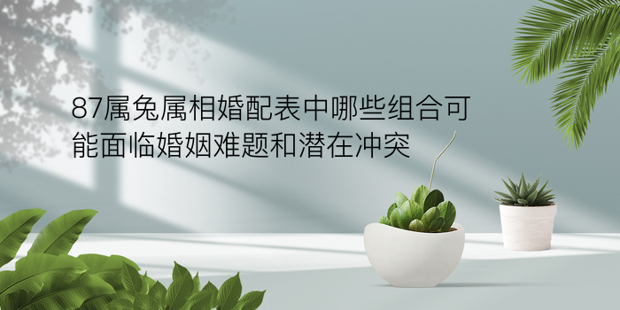 姓名爱情配对游戏游戏截图