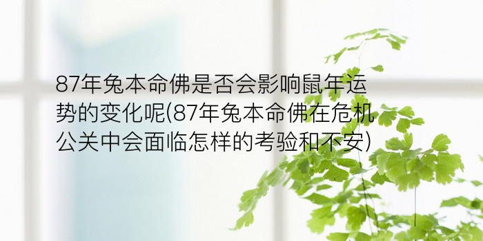 87年兔本命佛是否会影响鼠年运势的变化呢(87年兔本命佛在危机公关中会面临怎样的考验和不安)