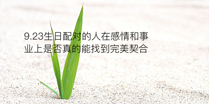 姓名爱情配对游戏手机号游戏截图