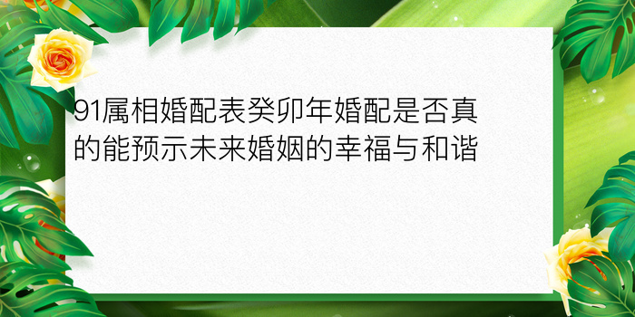 91属相婚配表癸卯年婚配是否真的能预示未来婚姻的幸福与和谐