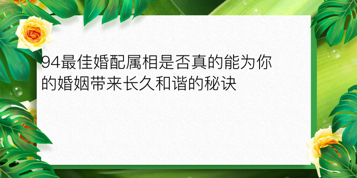 马最佳婚配属相游戏截图