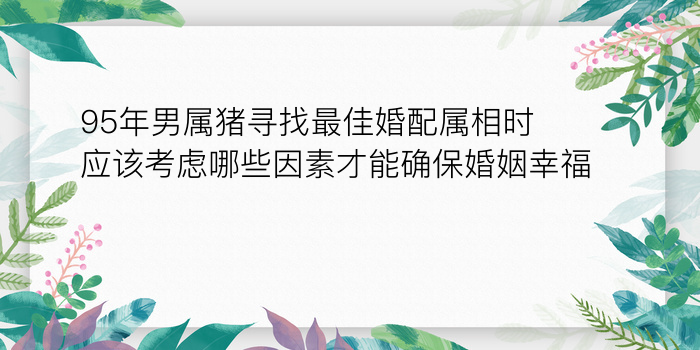 95年男属猪寻找最佳婚配属相时应该考虑哪些因素才能确保婚姻幸福