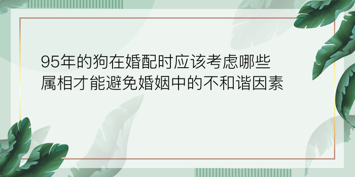 八字与车牌号码测吉凶游戏截图