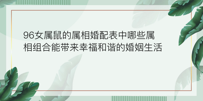 96女属鼠的属相婚配表中哪些属相组合能带来幸福和谐的婚姻生活