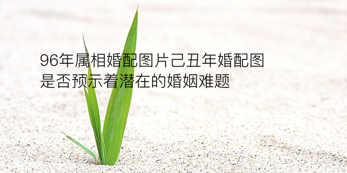 八字推算运程游戏截图