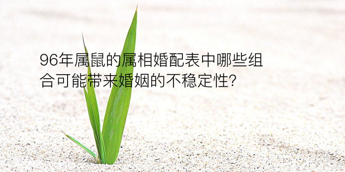 生肖配对鸡游戏截图