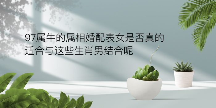 朱茵姓名配对游戏截图