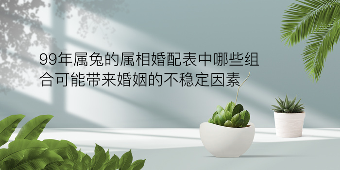 生日生肖配对游戏截图