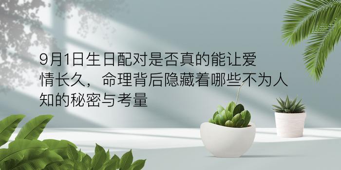 生肖表配对表游戏截图