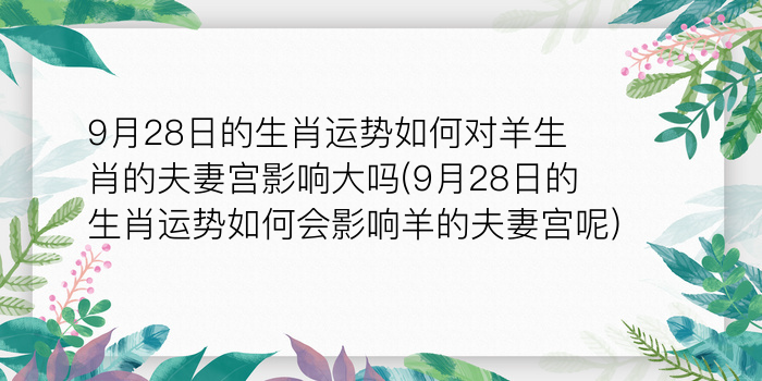 9月28日的生肖运势如何对羊生肖的夫妻宫影响大吗(9月28日的生肖运势如何会影响羊的夫妻宫呢)