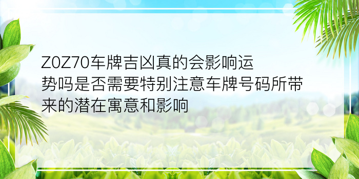 属龙的最佳婚配属相游戏截图