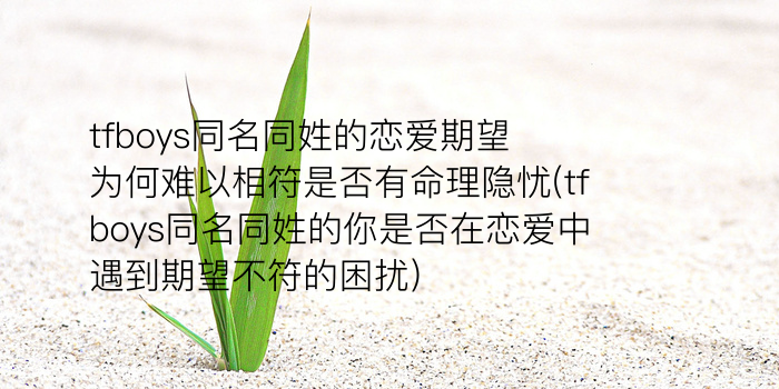 梓起名男孩游戏截图