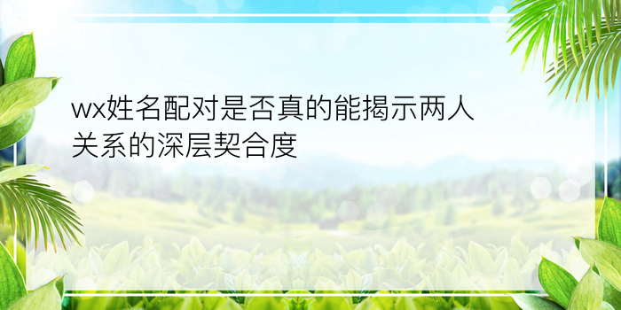 wx姓名配对是否真的能揭示两人关系的深层契合度