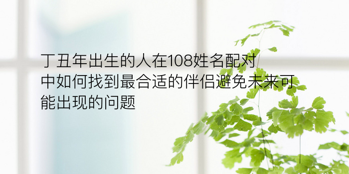 丁丑年出生的人在108姓名配对中如何找到最合适的伴侣避免未来可能出现的问题