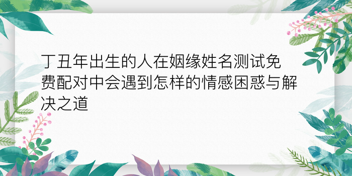 丁丑年出生的人在姻缘姓名测试免费配对中会遇到怎样的情感困惑与解决之道