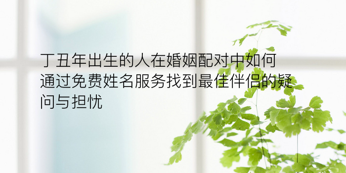 丁丑年出生的人在婚姻配对中如何通过免费姓名服务找到最佳伴侣的疑问与担忧