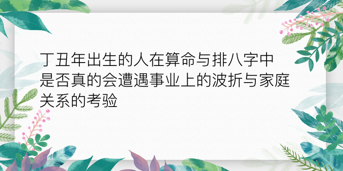 丁丑年出生的人在算命与排八字中是否真的会遭遇事业上的波折与家庭关系的考验