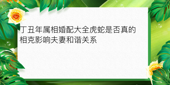 丁丑年属相婚配大全虎蛇是否真的相克影响夫妻和谐关系