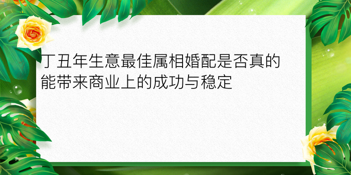 丁丑年生意最佳属相婚配是否真的能带来商业上的成功与稳定