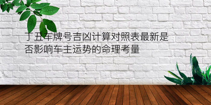 丁丑车牌号吉凶计算对照表最新是否影响车主运势的命理考量