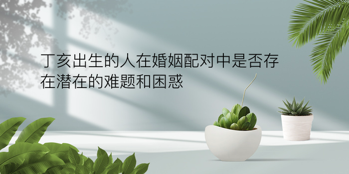 香菱配对姓名配对游戏截图