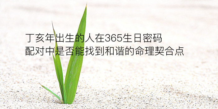 8当命理网