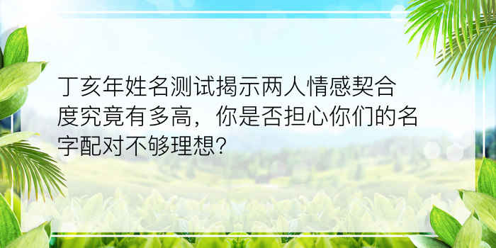 丁亥年姓名测试揭示两人情感契合度究竟有多高，你是否担心你们的名字配对不够理想？