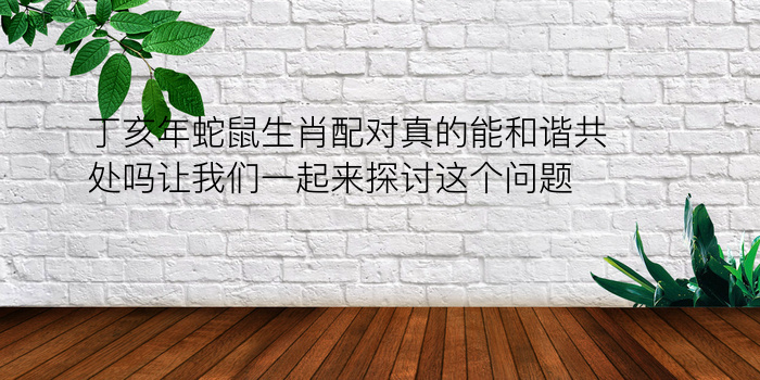 丁亥年蛇鼠生肖配对真的能和谐共处吗让我们一起来探讨这个问题