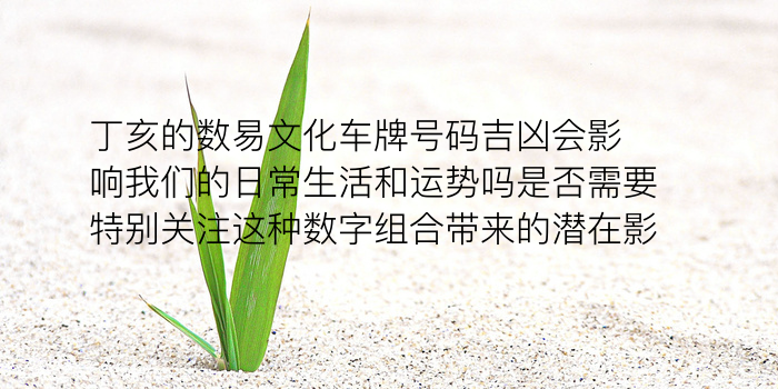 姓名配对测试发型游戏截图