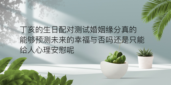 车牌吉凶查询打分游戏截图