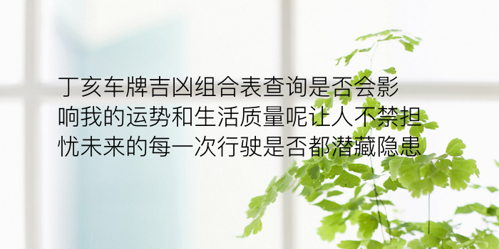 丁亥车牌吉凶组合表查询是否会影响我的运势和生活质量呢让人不禁担忧未来的每一次行驶是否都潜藏隐患