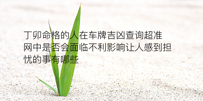 时间生肖配对手机号游戏截图