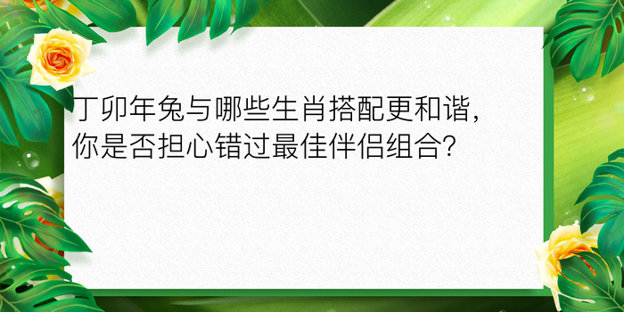 94年属相婚配表游戏截图