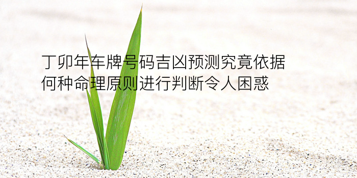 生日配对的游戏截图