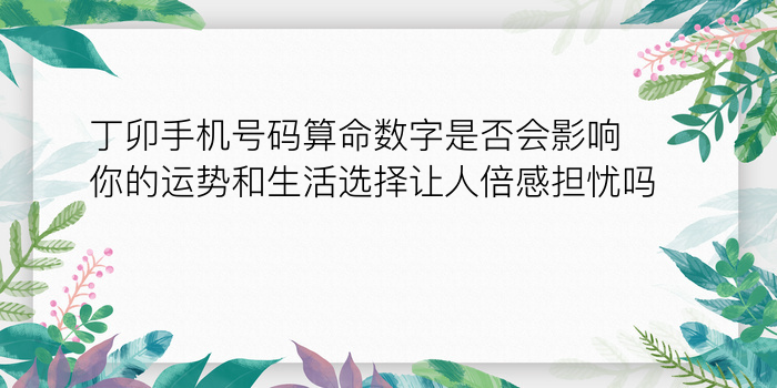 生肖龙配对什么生肖游戏截图