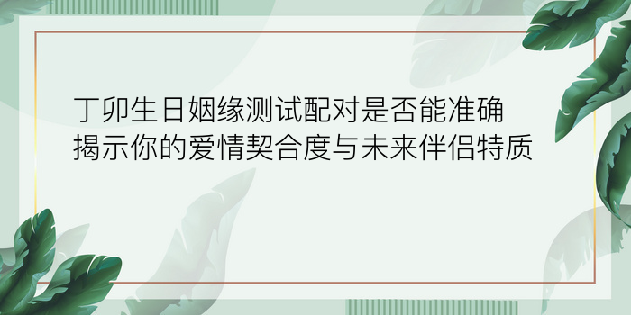 鸡最佳婚配属相游戏截图