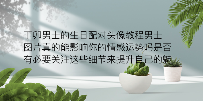 车牌照号码吉凶查询游戏截图