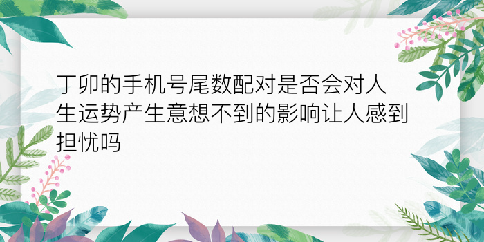 生肖生日配对游戏截图