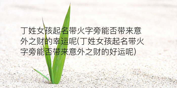 代驾公司起名游戏截图