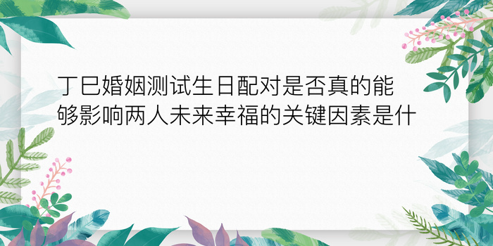 姓名出生日期配对游戏截图