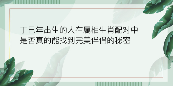 丁巳年出生的人在属相生肖配对中是否真的能找到完美伴侣的秘密