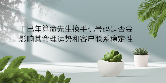 周易算车牌号吉凶游戏截图