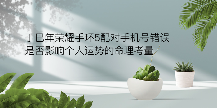 车牌吉凶周易游戏截图