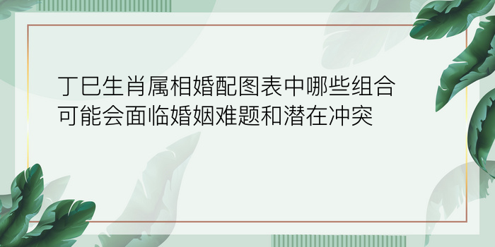 丁巳生肖属相婚配图表中哪些组合可能会面临婚姻难题和潜在冲突